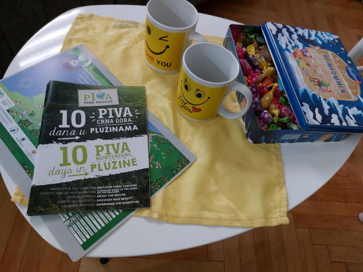 Apartman Pavle Plužine Eksteriør bilde