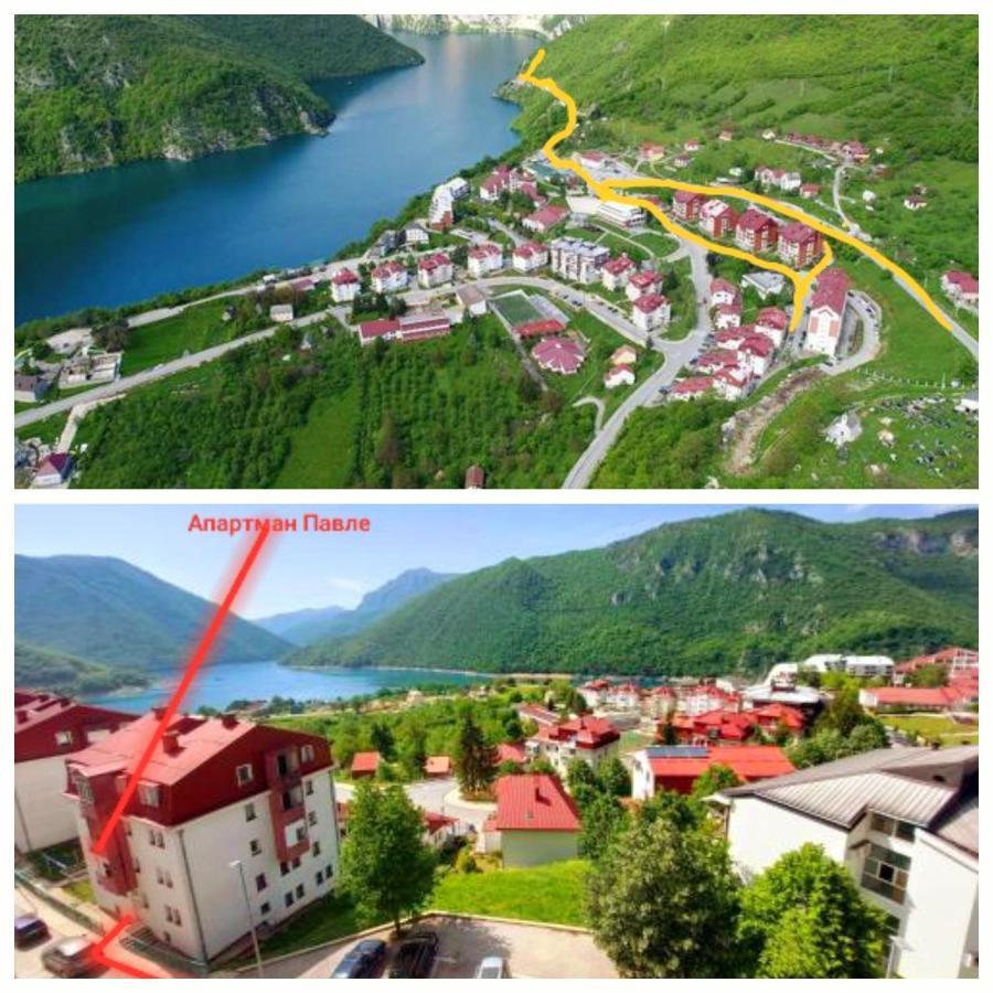 Apartman Pavle Plužine Eksteriør bilde