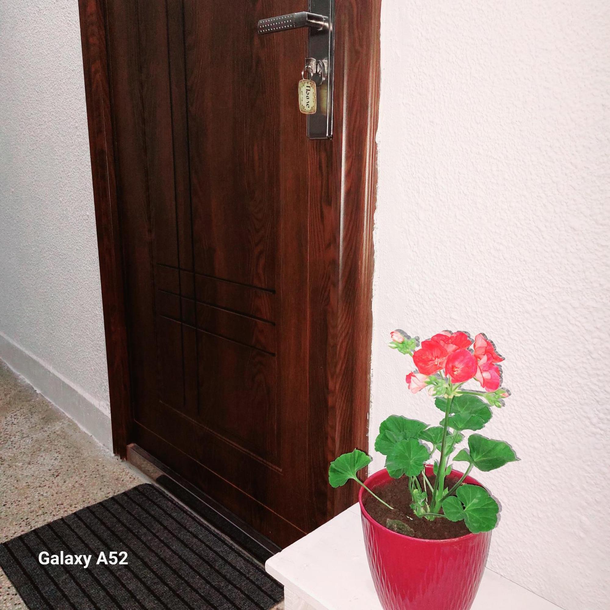 Apartman Pavle Plužine Eksteriør bilde