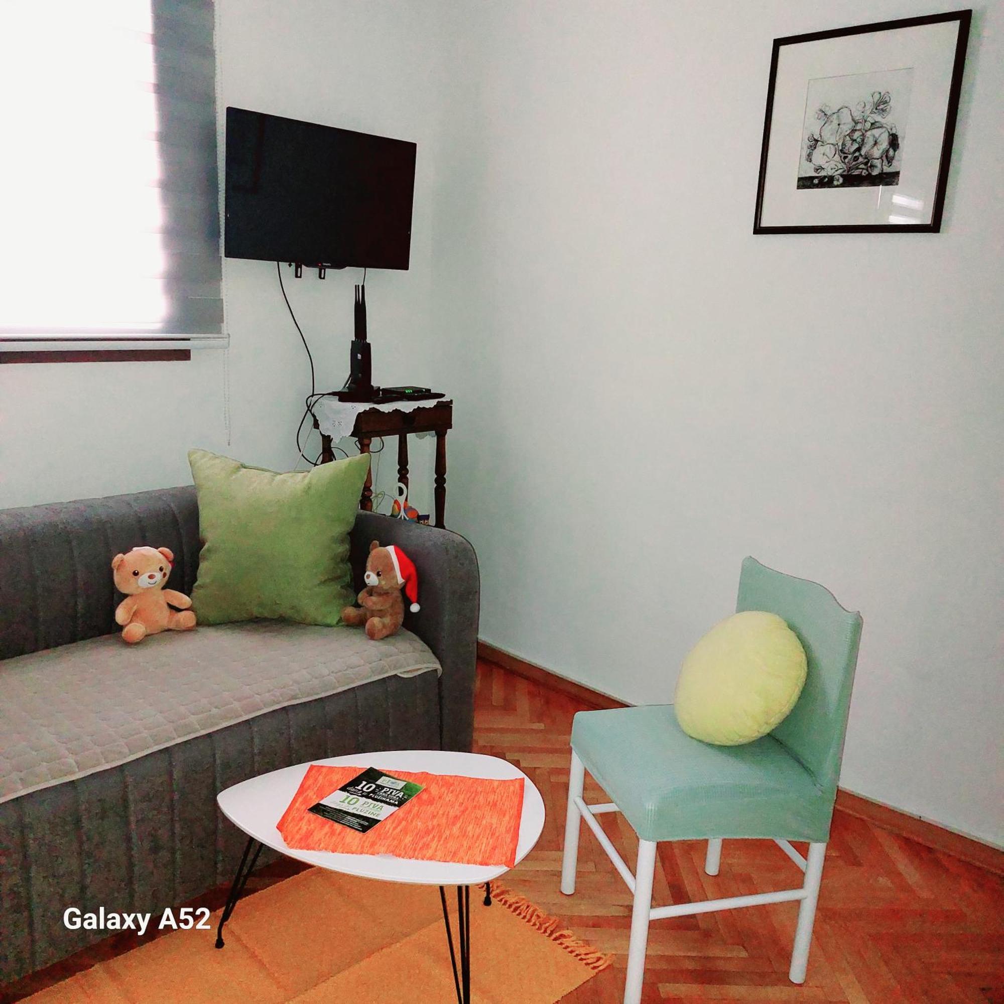 Apartman Pavle Plužine Eksteriør bilde